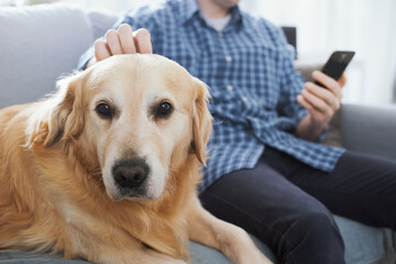 Man chatting with his phone and caressing his dog