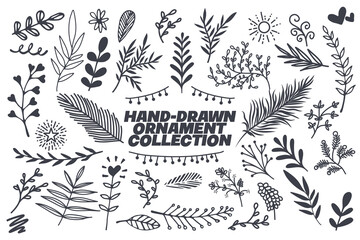 Hand Drawn Floral Ornaments Vector Design Element Collection
