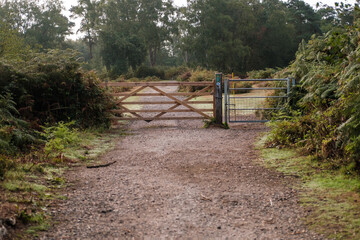 HIndhead Common, August 2022