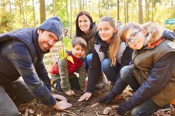 Family and children plant trees in the forest together