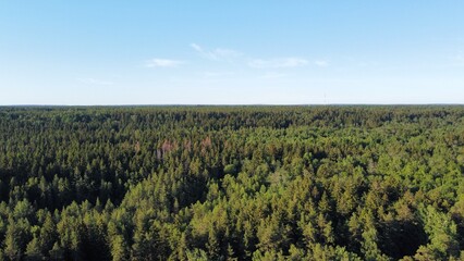 Fototapeta na wymiar Photo of the forest from a quadrocopter