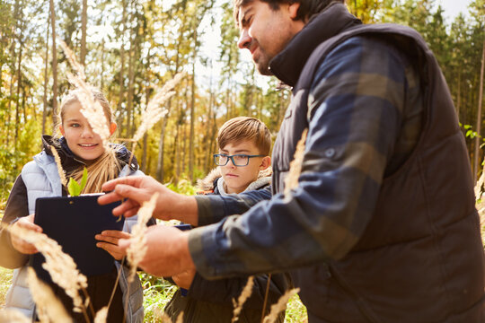 Children and forest rangers in the forest in the tree determination