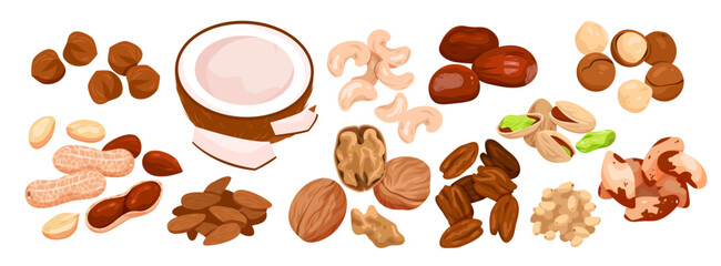 Nut seeds with shells set vector illustration. Cartoon isolated organic dry nutty food mix, natural snack collection with healthy coconut almond walnut hazelnut cashew pecan chestnut for eating