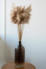 Dried natural pampas grass in a glass vase. Interior decor element. Boho background. Minimalism in...