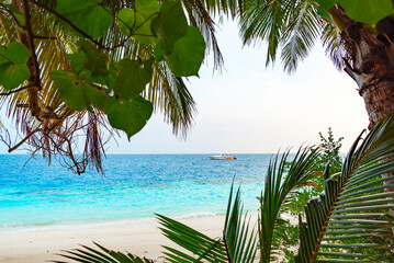 picturesque landscape in the Maldives island, bright colors of nature and turquoise water, travel concept