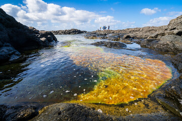 Natural pools Charcones in Lanzarote, Canary Islands, Spain