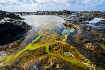Fototapeta na wymiar Natural pools Charcones in Lanzarote, Canary Islands, Spain