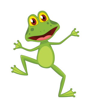 Cartoon frogs Funny cartoon frog. Little amphibia character standing and smiling on white background. Adorable froggy watching