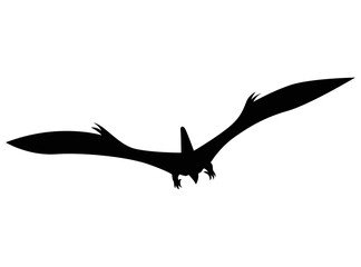 Dinosaur silhouette. Dino monsters icon. Shape of real animal. Sketch of prehistoric reptile. Vector illustration isolated on white. Hand drawn sketch