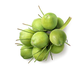 Top view of Young green coconut isolated on white background. Clipping path.