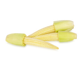 Baby corn isolated on transparent background. (.PNG)