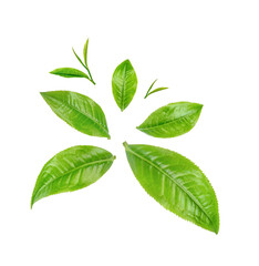 Green tea leaves isolated on transparent background. (.PNG)