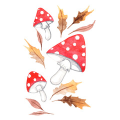 mushroom with Autumn leaves watercolor illustration for decoration on mythical plant and forest.