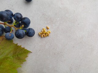 Winogrona i pestki winogron