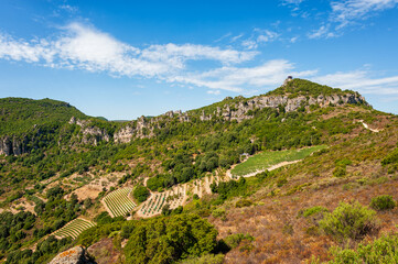 Cultivation of a vineyard in the mountains. Agriculture.