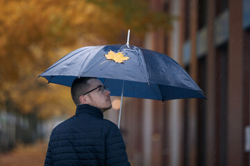 Man with umbrella walking under yellow maple trees on city street during autumn rainy day. .