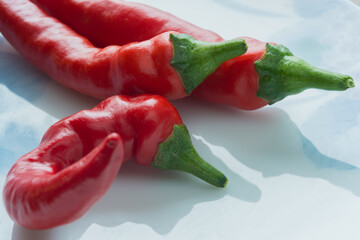 赤南蛮（とうがらし）