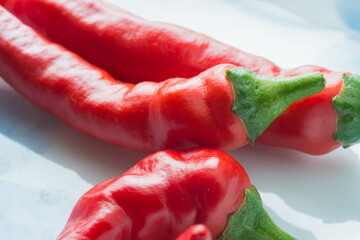 赤南蛮（とうがらし）