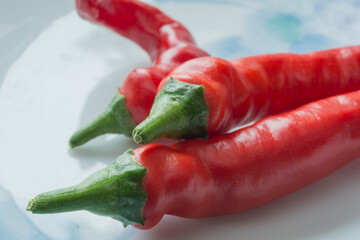 赤南蛮（とうがらし）