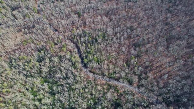 A cool fall day on the Blue Ridge Parkway