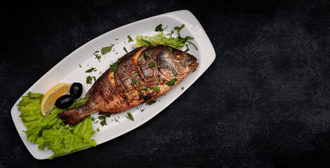 Dorado fish grilled with herbs, on a dark background