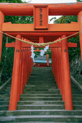 japanese garden gate