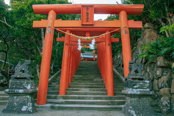Fototapeta na wymiar japanese garden gate