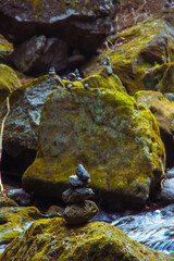 waterfall in the forest