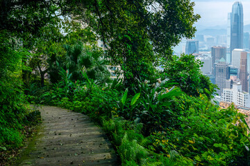 Wan Chai Green Trail