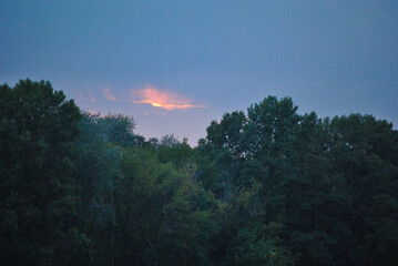 sunset in the forest