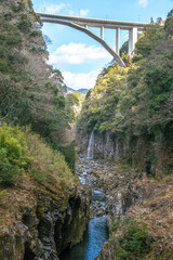 bridge over the river