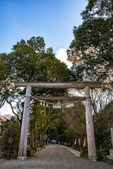 bridge in the park