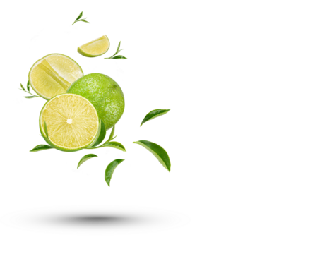 Water splash on fresh lemon and tea leaves isolated on transparent background. (.PNG)