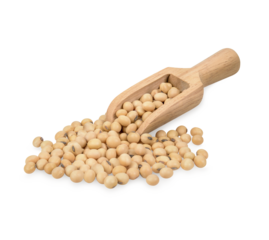 Roasted soybeans isolated on transparent background. (.PNG)