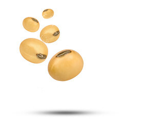 Water splashing on roasted soybeans on transparent background. (.PNG)