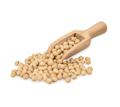 Roasted soybeans isolated on transparent background. (.PNG)