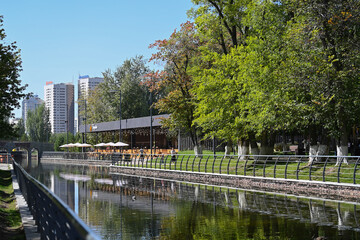 tree, forest, nature, park, trees, wood, grass, spring, trunk, old, summer, autumn, bark, leaves, branch, leaf, landscape, plant, outdoors, season, woods, pine, outdoor, fall, sun