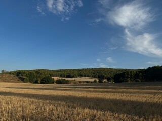 field and sky