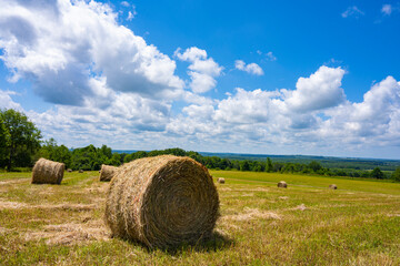 Hay rolls on the farm been harvest with green hill over clouds day and blue sky background.