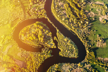Aerial View Green Forest Woods And River Landscape In Sunny Spring Summer Day. Top View Of Nature,...