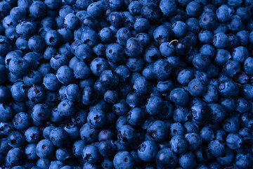 Fresh blueberry background. Texture blueberry berries close up.