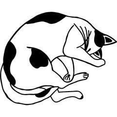 Illustration of sleeping cat