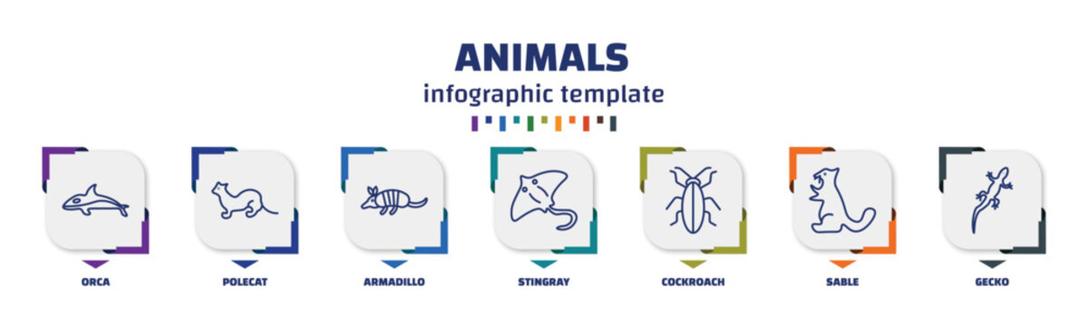 infographic template with icons and 7 options or steps. infographic for animals concept. included orca, polecat, armadillo, stingray, cockroach, sable, gecko icons.