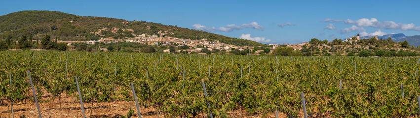 Fototapeta na wymiar vineyards and town, Santa Eugenia, Majorca, Balearic Islands, Spain