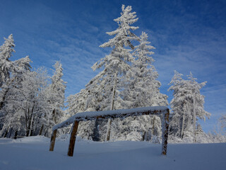 Biała, śnieżna zima na górskim szlaku
