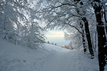 Fototapeta Biała, śnieżna zima na górskim szlaku obraz