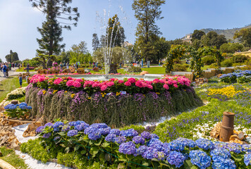 GENOA, ITALY, APRIL, 28, 2022 - Flower arrangements at Euroflora 2022 in Genoa, international floriculture festival, in Genoa Nervi parks, Italy.