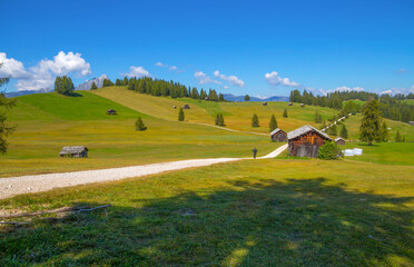 Fototapeta na wymiar Beautiful green meadows of the Armentarola valley near Badia in South Tyrol in the Dolomites, Italy