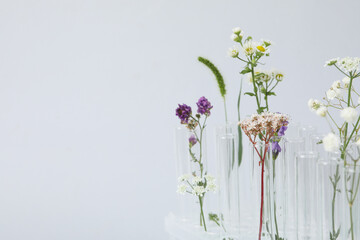 Concept of biology research, space for text