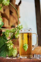 A mug with cold beer and hops on a wooden surface.